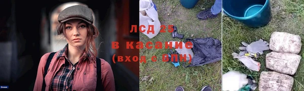 крисы Покровск