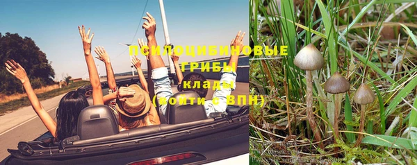 мет Протвино